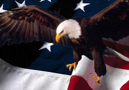 Eagle