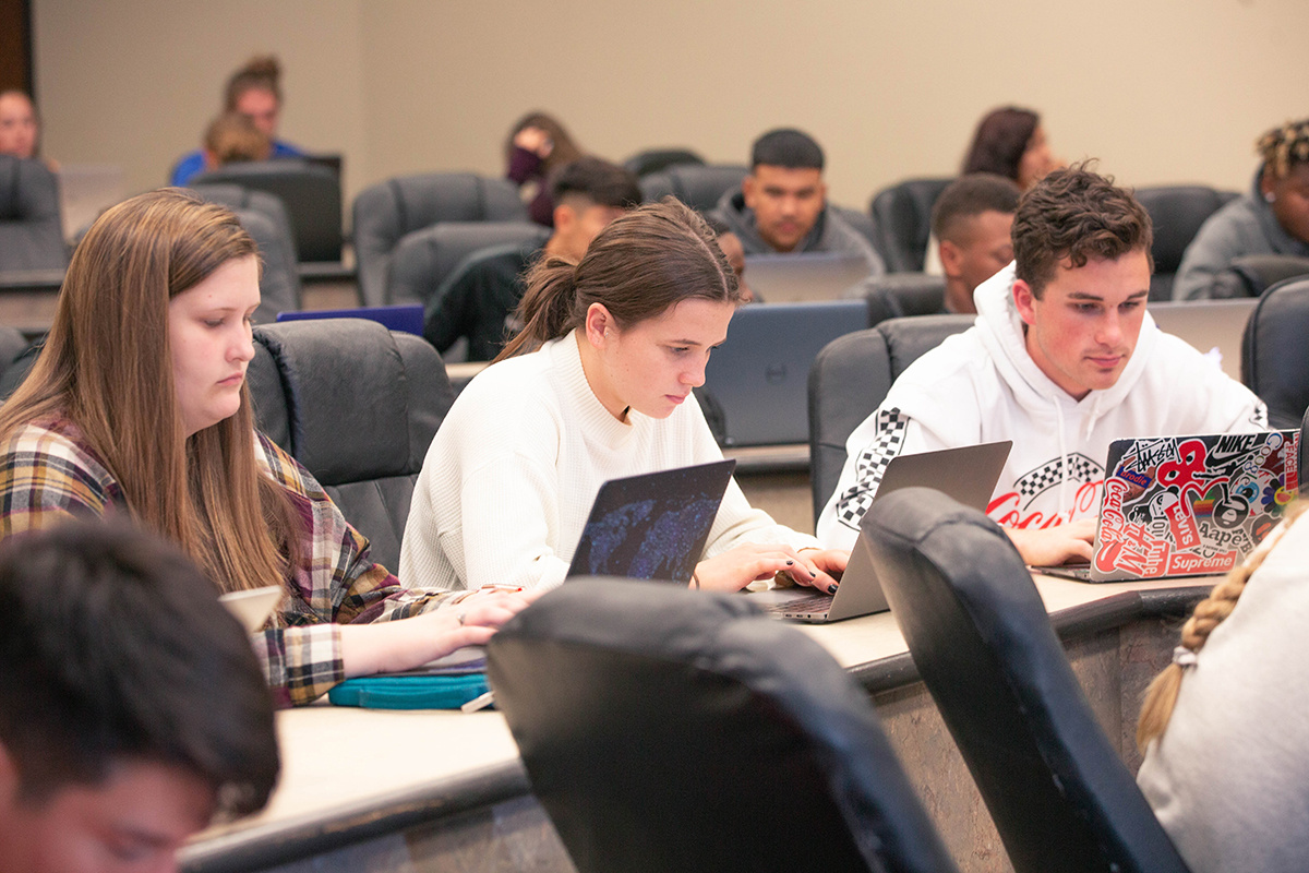 students working in class on computers