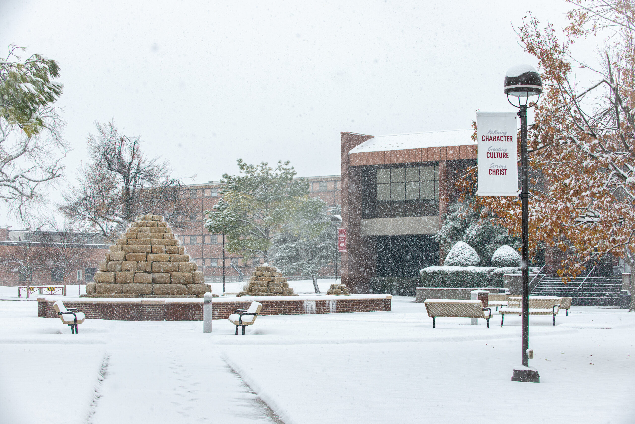 SNU Campus in the snow