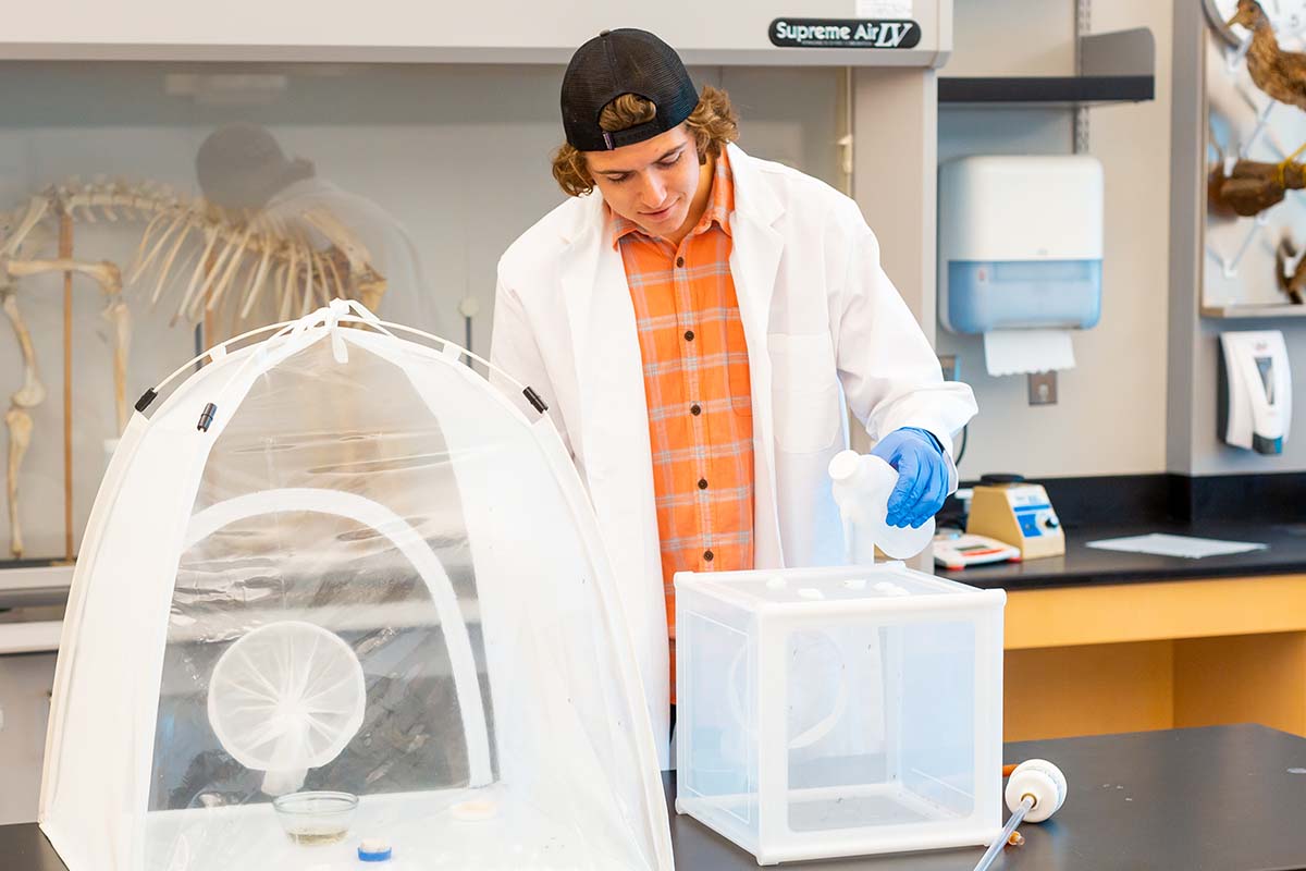 student working in lab