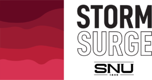 Storm Surge Logo