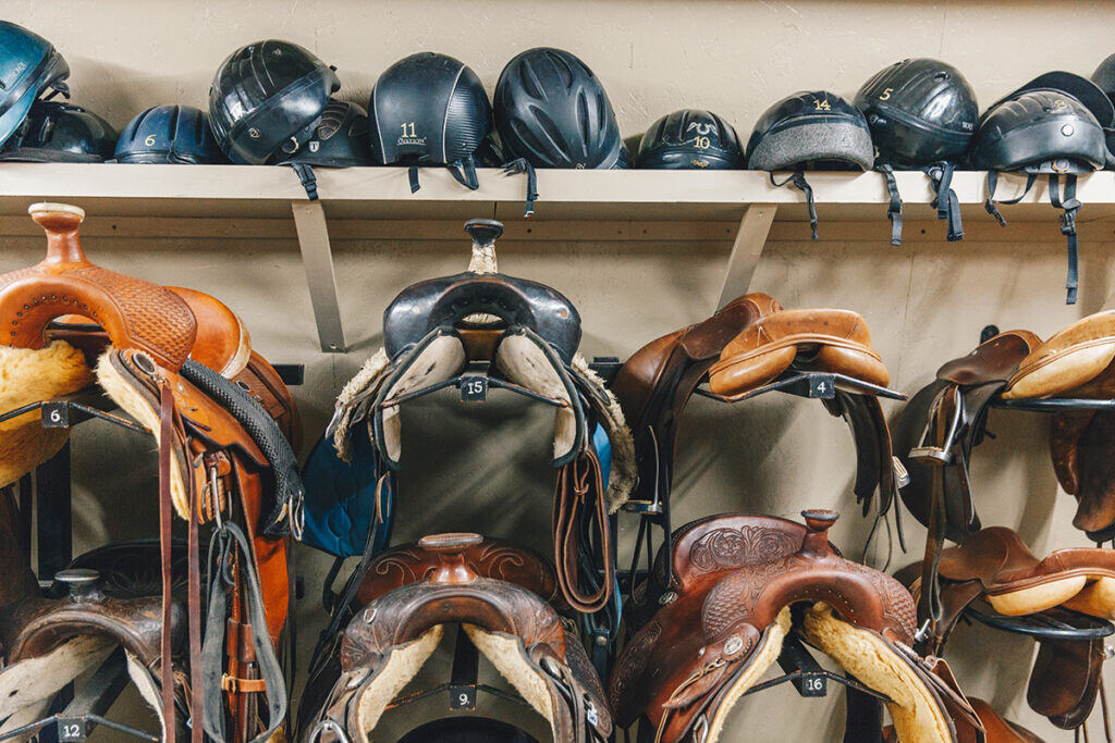 saddles in the barn